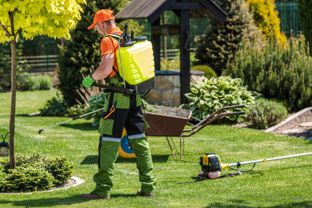 Best Fumigation Services  in Lake Lakengren, OH